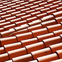 roof shingles